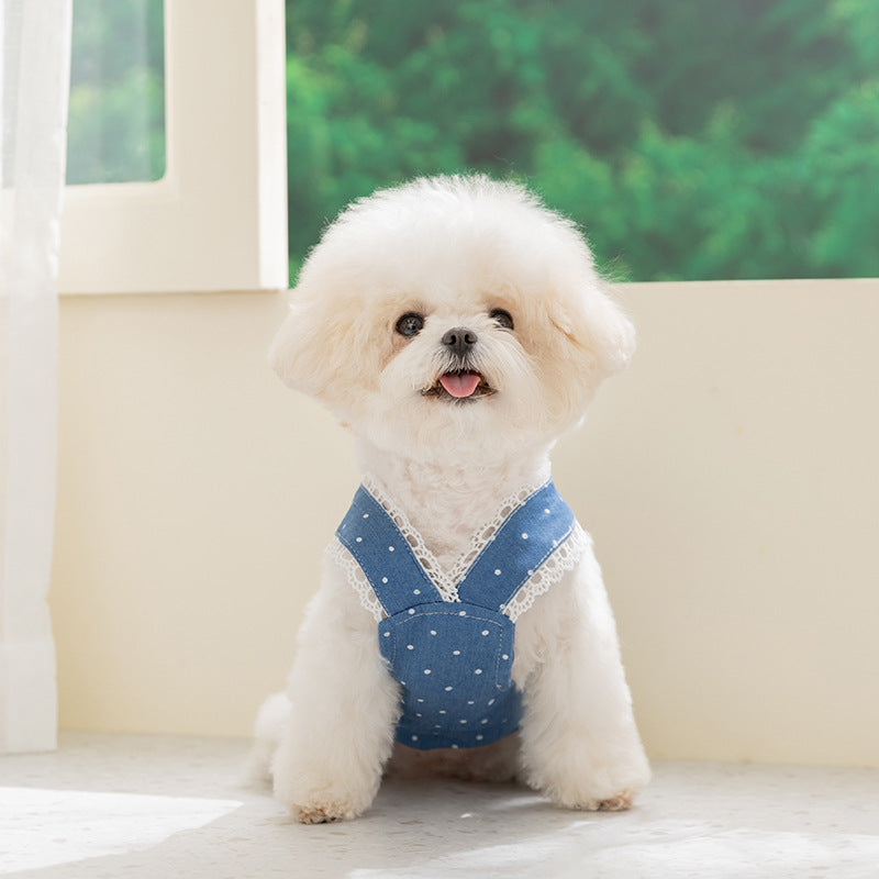 Spring Summer Pet Cat Dress with Leash, Polka Dot Denim Skirt for Small Dogs, Pomeranian, Bichon Frise, Puppy Clothes