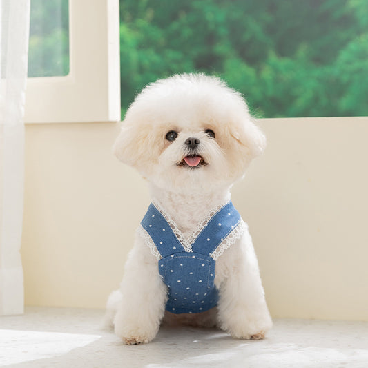 Spring Summer Pet Cat Dress with Leash, Polka Dot Denim Skirt for Small Dogs, Pomeranian, Bichon Frise, Puppy Clothes