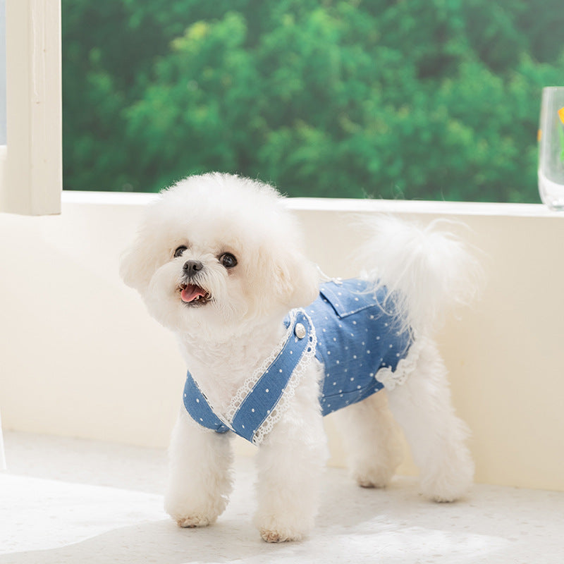 Spring Summer Pet Cat Dress with Leash, Polka Dot Denim Skirt for Small Dogs, Pomeranian, Bichon Frise, Puppy Clothes