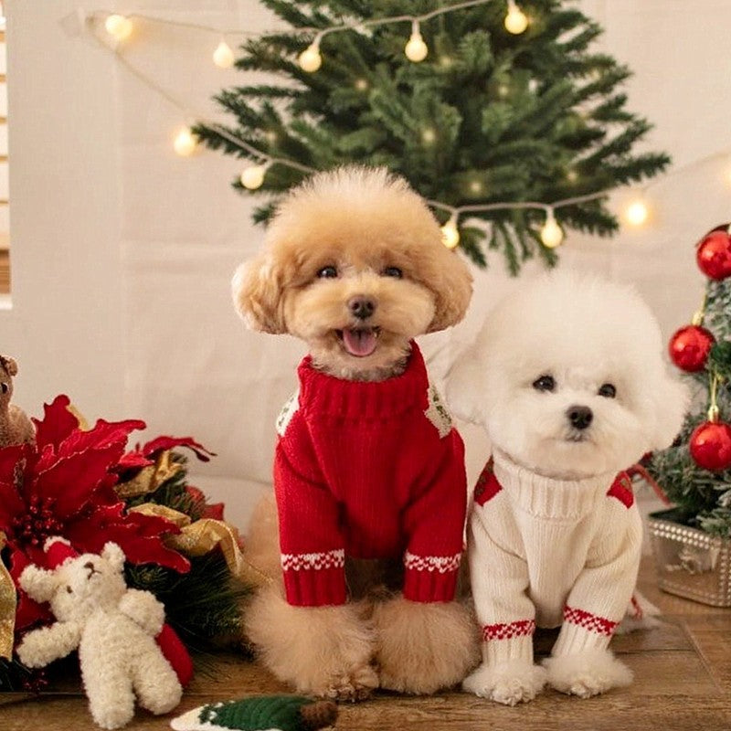 Autumn and winter puppy two legged sweater small and medium-sized dog warm knit sweater Christmas cat clothes