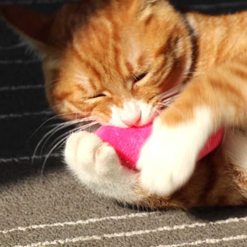 Teeth Grinding Catnip Toys Funny Interactive Plush Cat Toy Pet Kitten Chewing Vocal Toy Claws Thumb Bite Cat mint For Cats