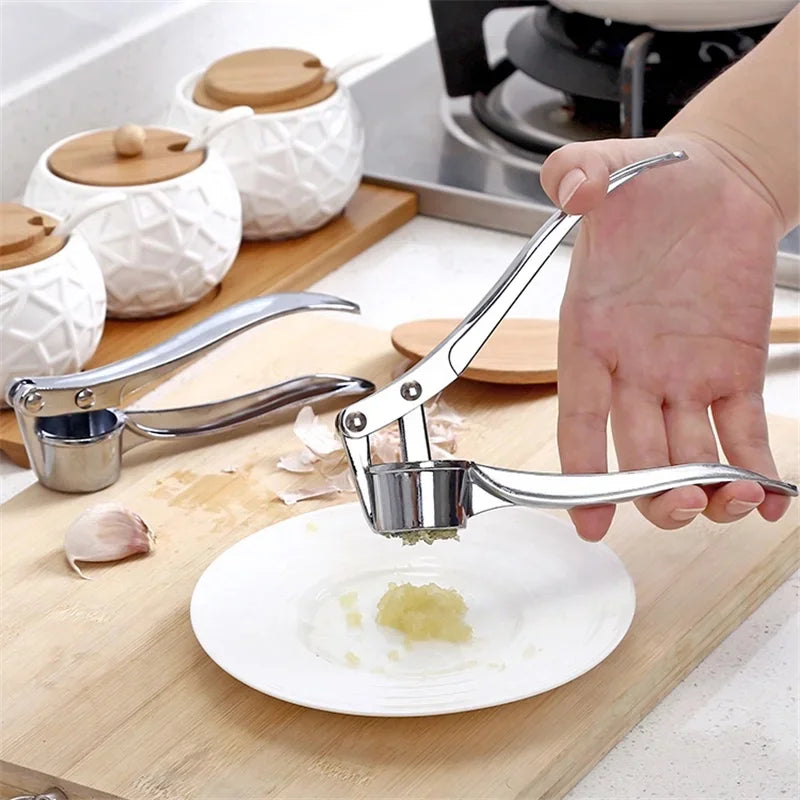 Professional Kitchen Tools Garlic Press High Qulity Crush Garlic Smooth-Handled Easy to Clean Fruit & Vegetable Crusher
