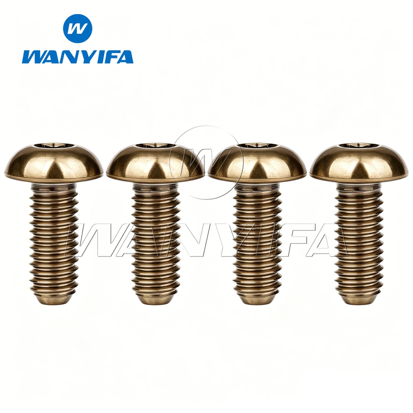 Wanyifa Titanium Bolts M5x8 M5x10 M5x12 M5x15mm Round Head Inner Hexagon Screw for Bicycle Bottle Cage