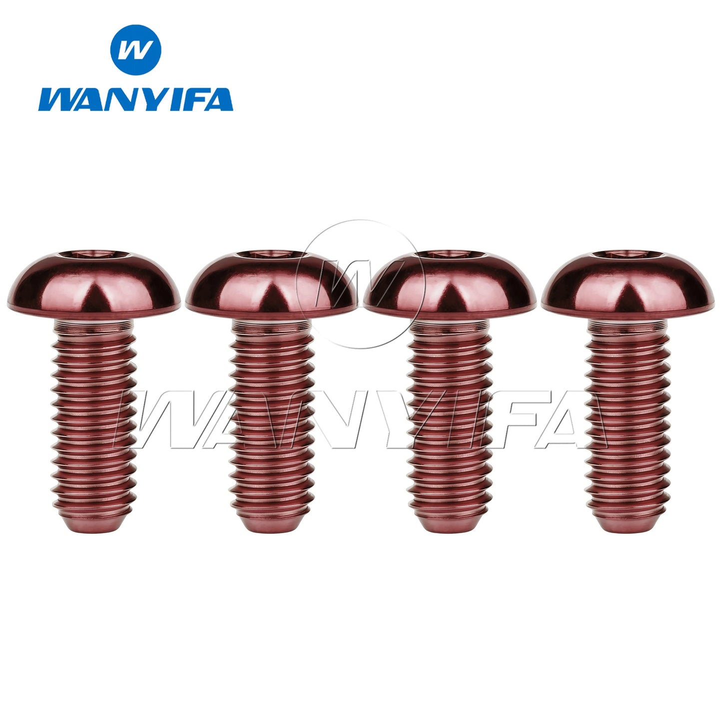 Wanyifa Titanium Bolts M5x8 M5x10 M5x12 M5x15mm Round Head Inner Hexagon Screw for Bicycle Bottle Cage