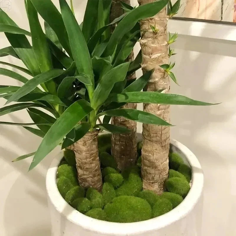 10Pcs Artificial Moss Stone Green Moss Balls Moss Rocks DIY Micro Landscape Flower Pot Garden Decor Crafts Xmas Ornament Gifts