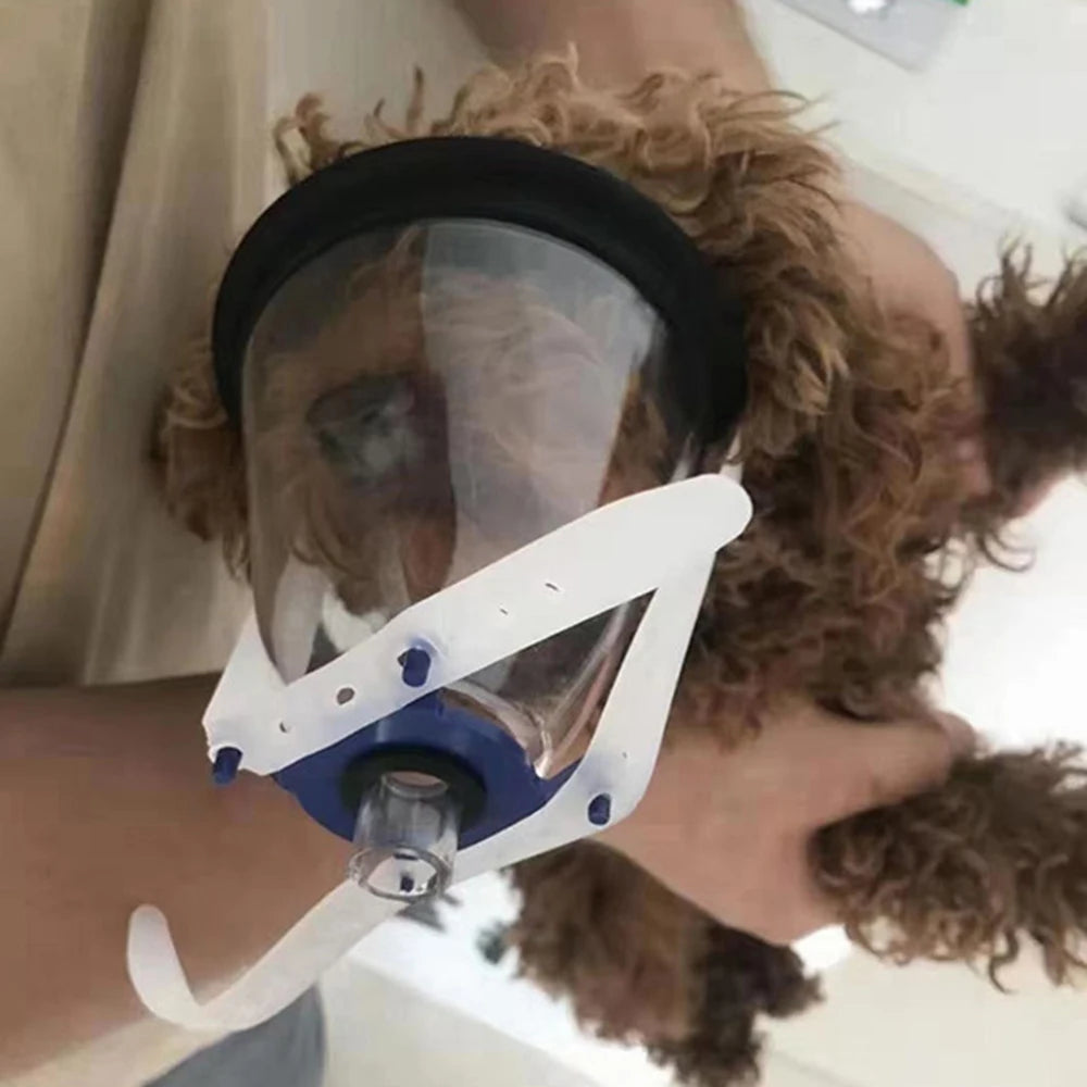 Pet NO.1-NO.6 Anesthesia Mask Dogs Cats Transparency Manual Resuscitator Veterinary Anesthesia Oxygen Mask Pet Care Room