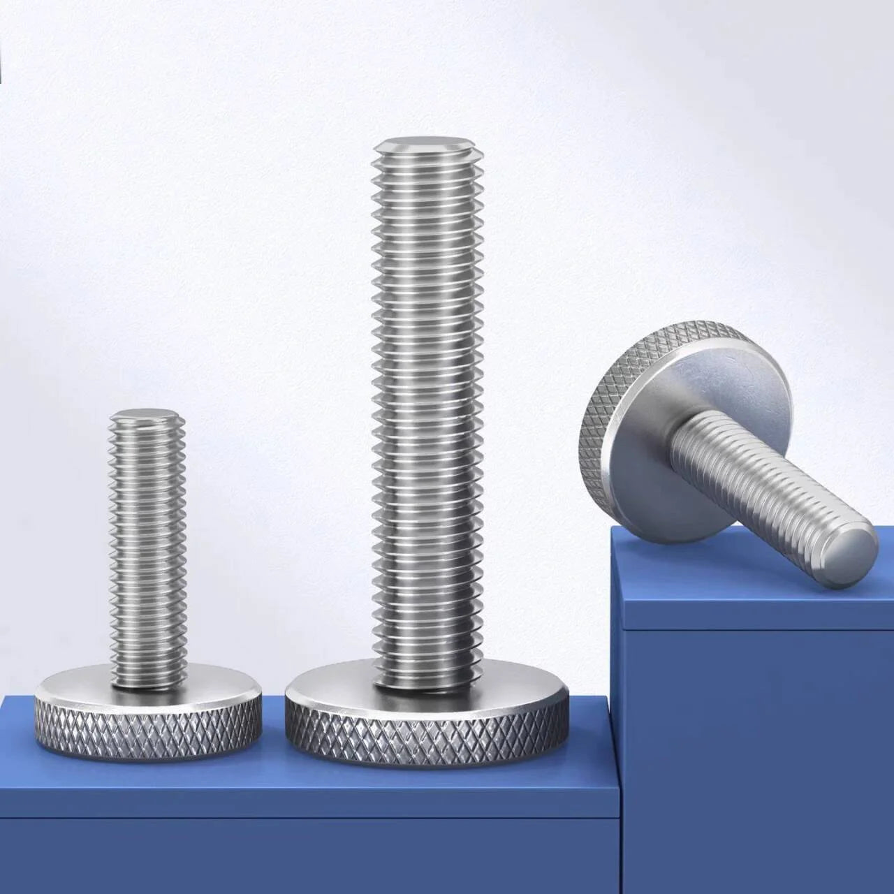 Decorative Thumb Screw Adjusting Bolt M3 M4 M5 M6 M8 M10 GB835 304 Stainless Steel Knurl Flat Big Round Head Hand Tighten DIN653
