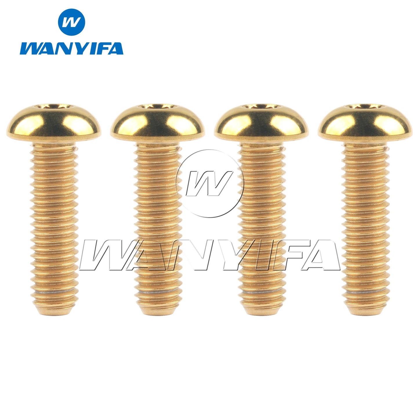 Wanyifa Titanium Bolts M5x8 M5x10 M5x12 M5x15mm Round Head Inner Hexagon Screw for Bicycle Bottle Cage